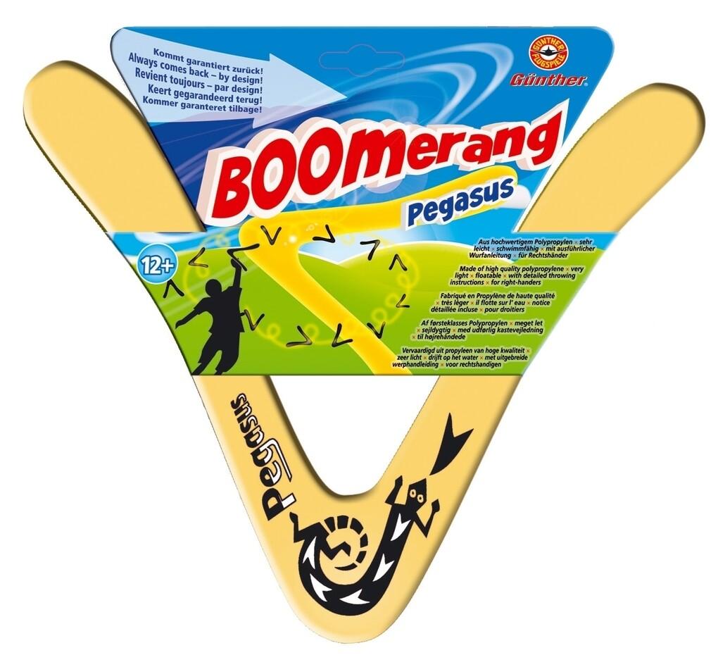 Günther Flugmodelle - Pegasus Boomerang