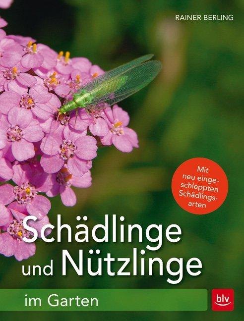 Schädlinge und Nützlinge im Garten