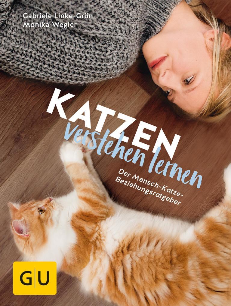 Katzen verstehen lernen