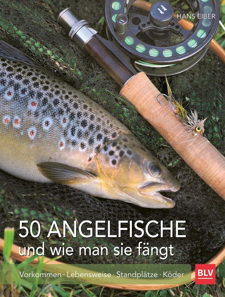 50 Angelfische und wie man sie fängt