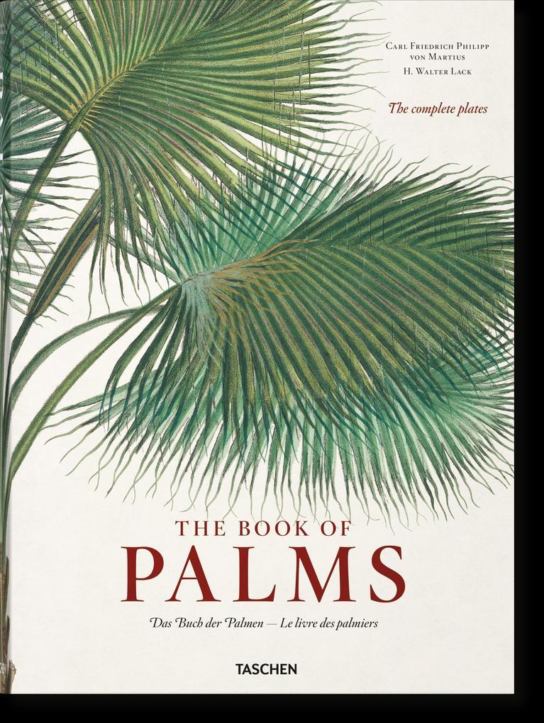 Martius. The Book of Palms