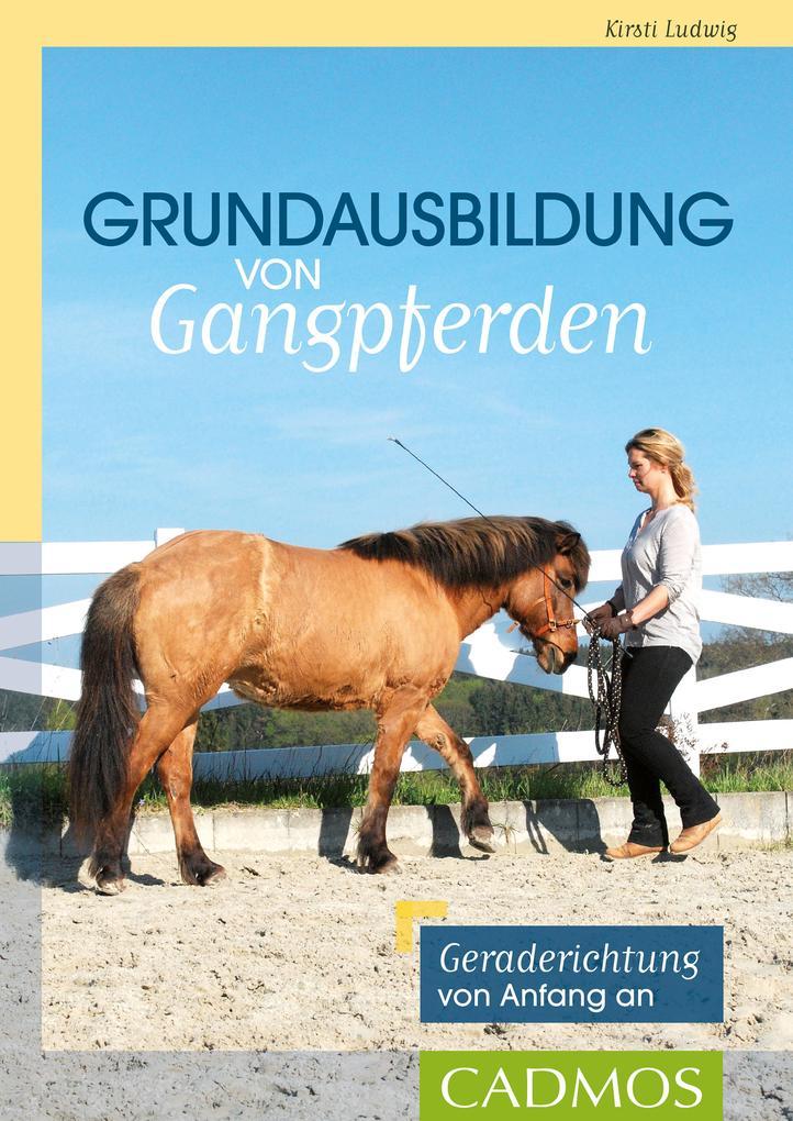 Grundausbildung von Gangpferden