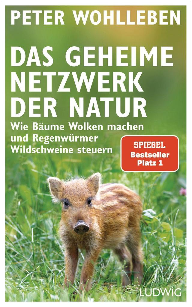 Das geheime Netzwerk der Natur