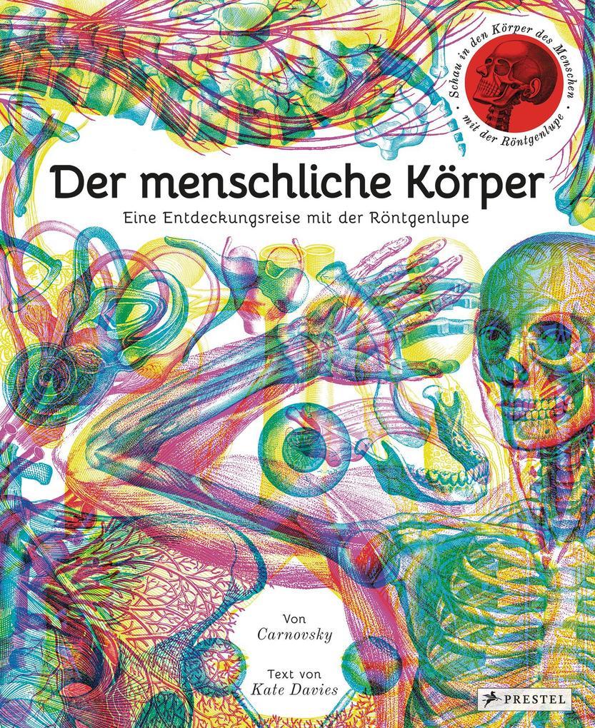 Der menschliche Körper