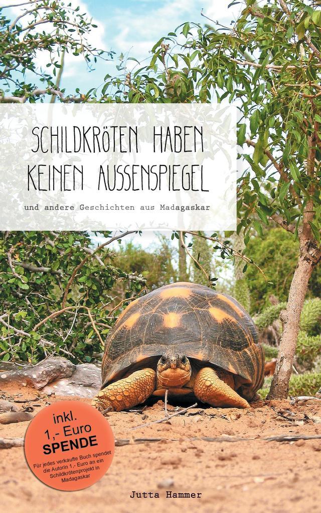 Schildkröten haben keinen Außenspiegel