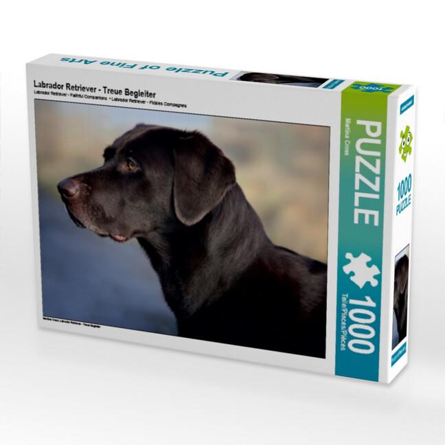 Labrador Retriever - Treue Begleiter (Puzzle)