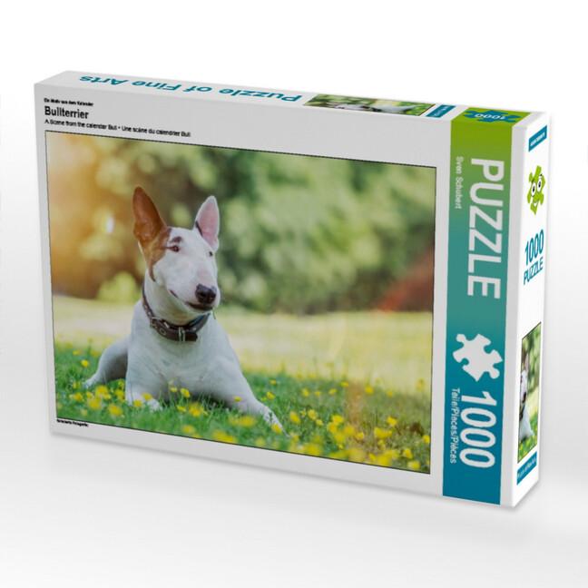 Ein Motiv aus dem Kalender Bullterrier (Puzzle)