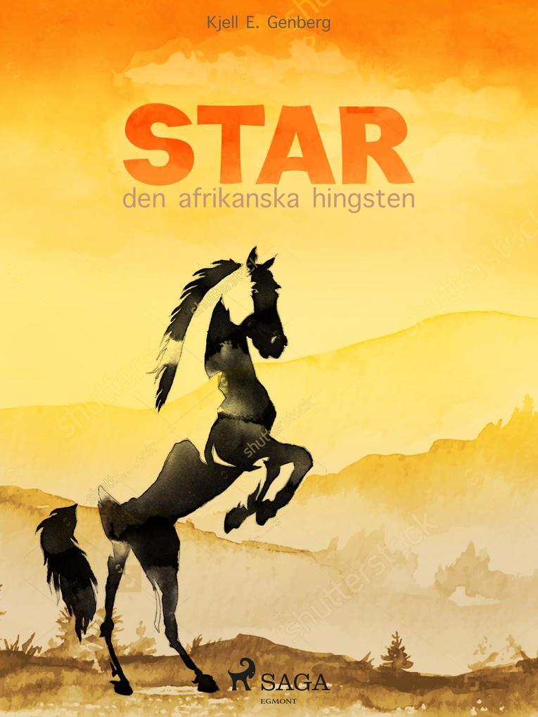 Star - den afrikanska hingsten