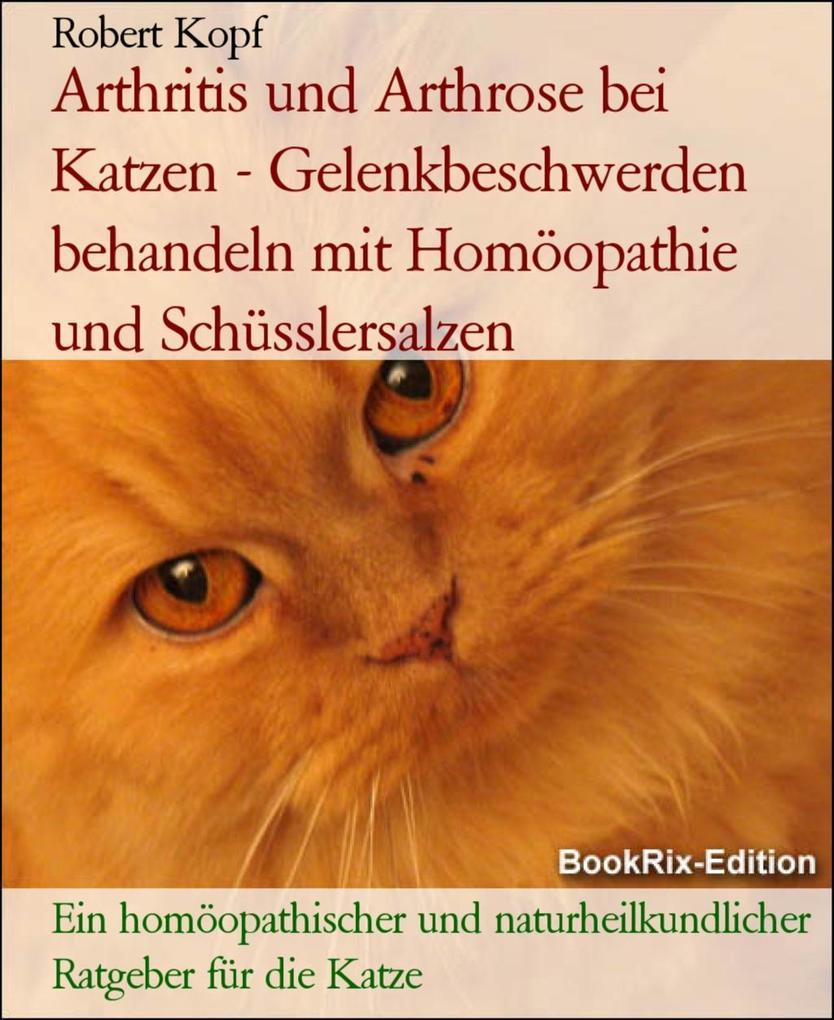 Arthritis und Arthrose bei Katzen - Gelenkbeschwerden behandeln mit Homöopathie und Schüsslersalzen