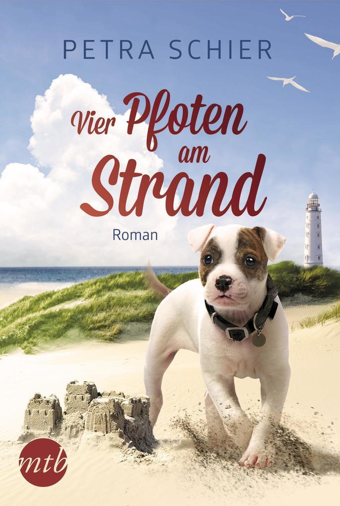 Vier Pfoten am Strand