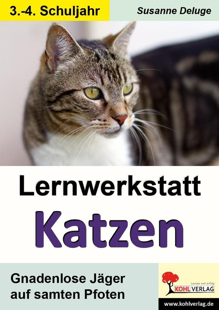 Lernwerkstatt Katzen