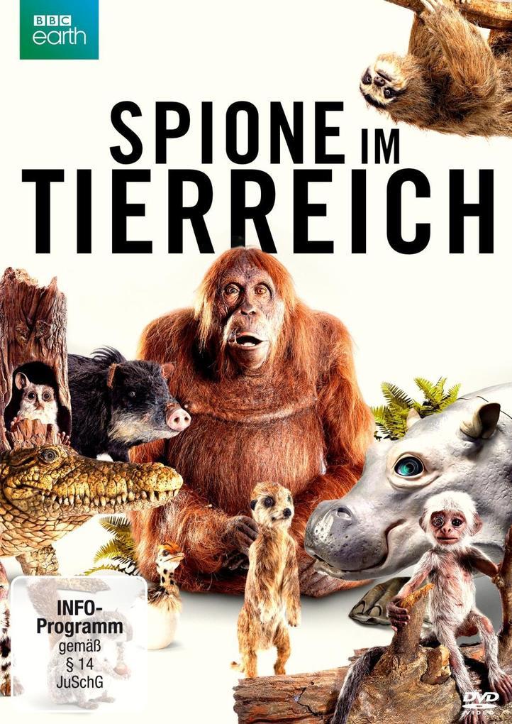 Spione im Tierreich