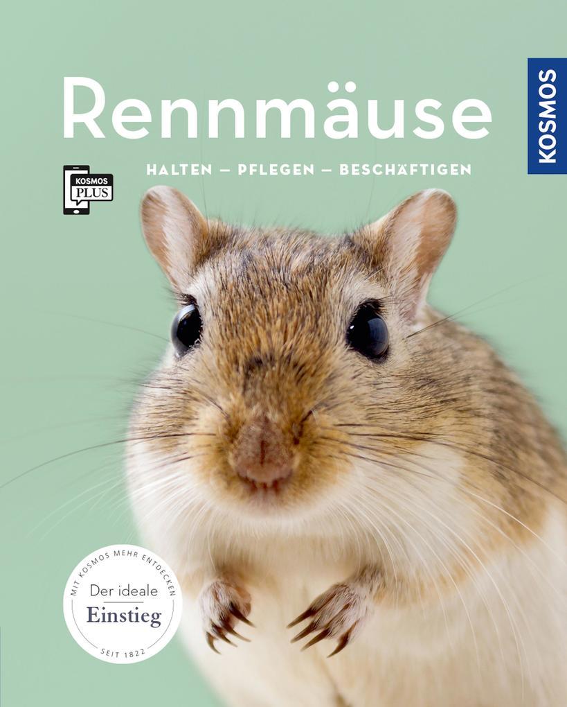 Rennmäuse