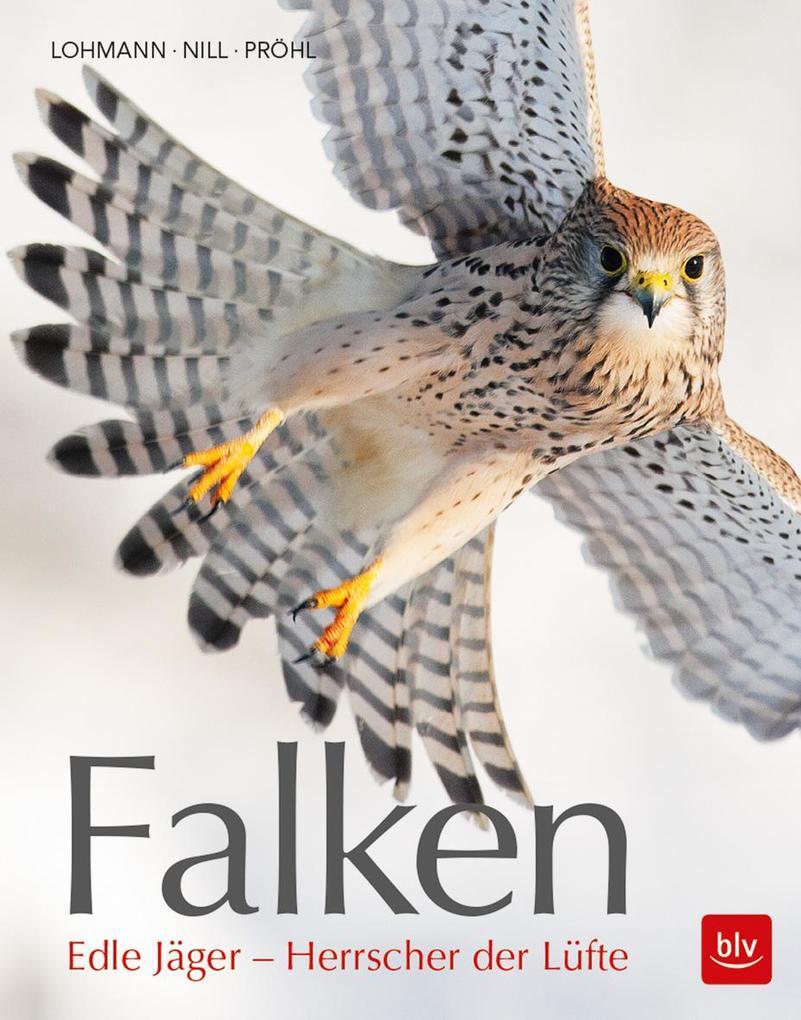 Falken