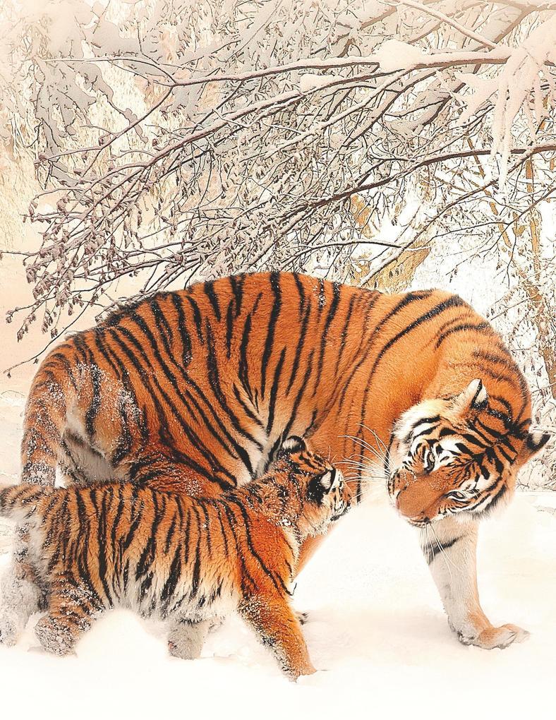 Fantasy Notizbuch 14: Tiger im Schnee