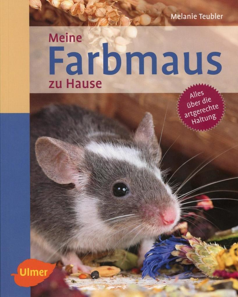 Meine Farbmaus zu Hause