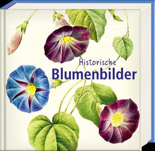 Historische Blumenbilder - Book To Go