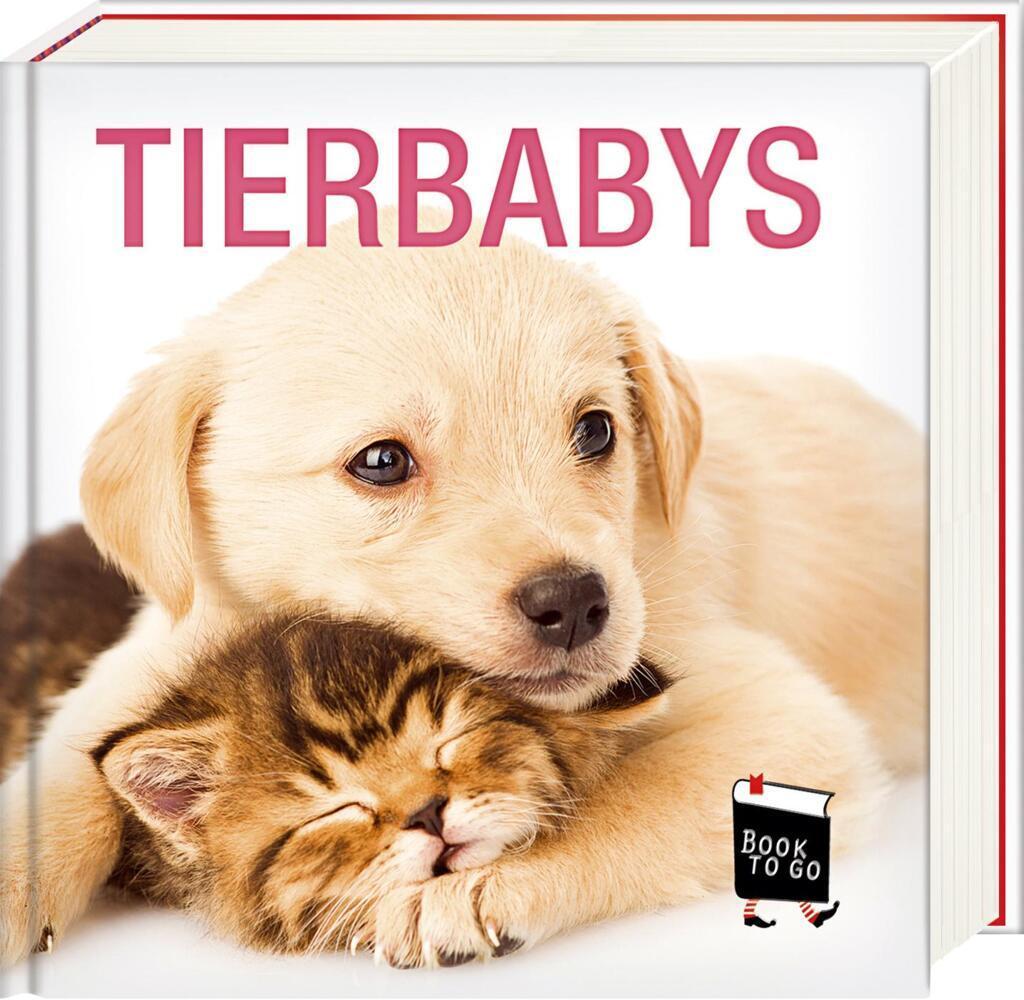 Tierbabys - Book To Go