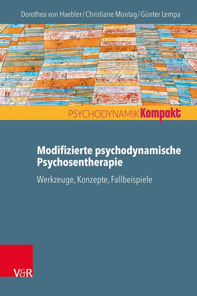 Modifizierte psychodynamische Psychosentherapie