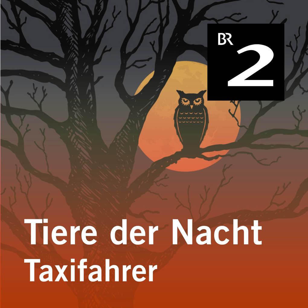 Tiere der Nacht: Taxifahrer