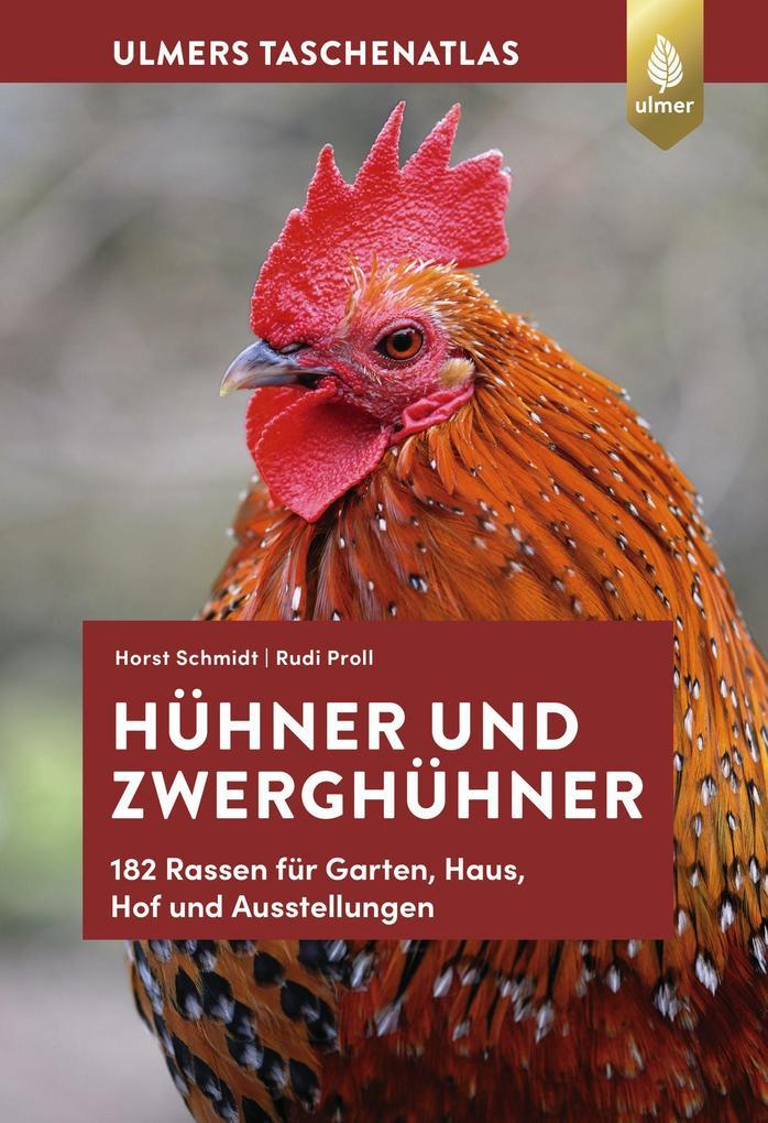 Hühner und Zwerghühner