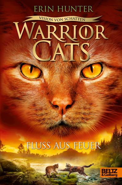 Warrior Cats Staffel 6/05 - Vision von Schatten. Fluss aus Feuer