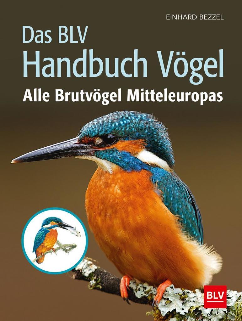 Das BLV Handbuch Vögel