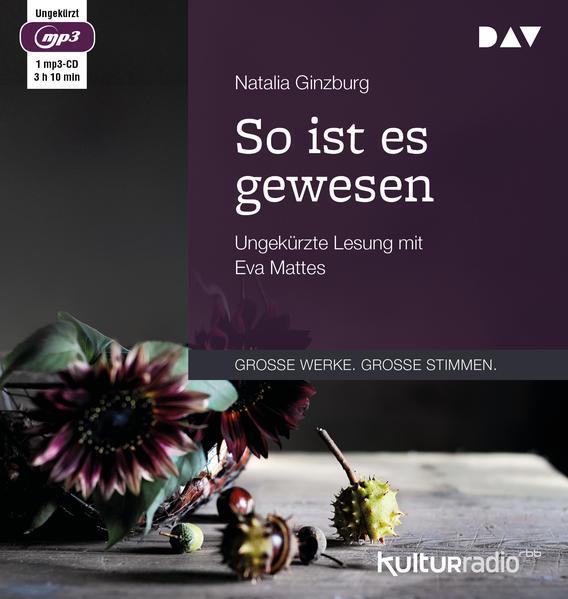 So ist es gewesen, 1 Audio-CD, 1 MP3