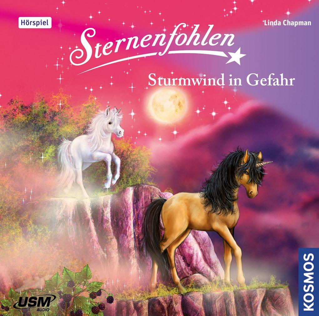 Sternenfohlen - Sturmwind in Gefahr, 1 Audio-CD