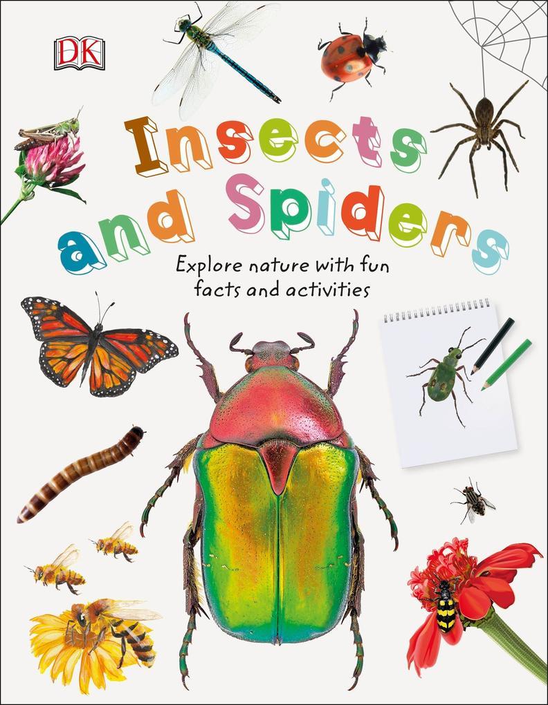 Insects and Spiders