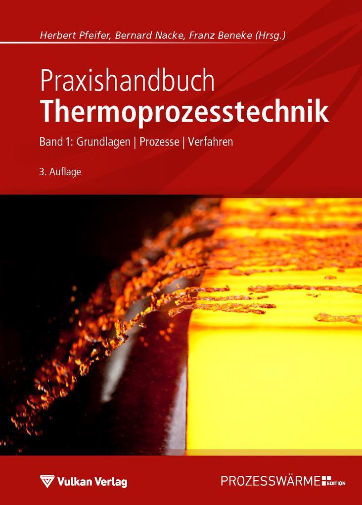 Praxishandbuch Thermoprozesstechnik