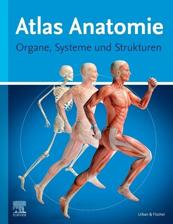 Atlas Anatomie