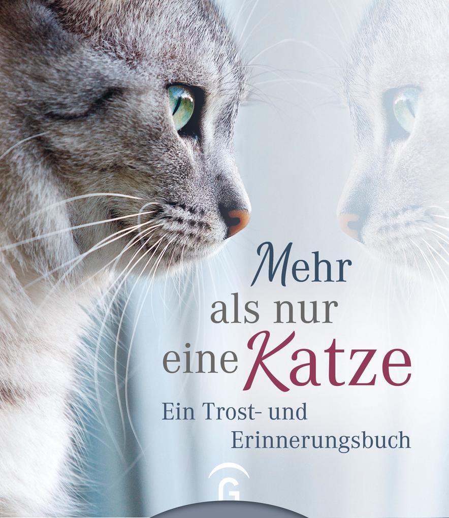 Mehr als nur eine Katze