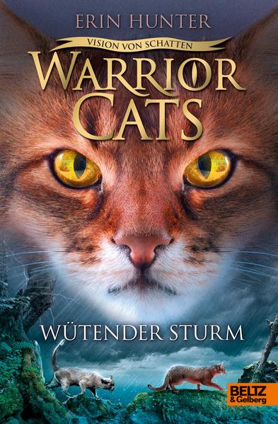 Warrior Cats Staffel 6/06 - Vision von Schatten. Wütender Sturm