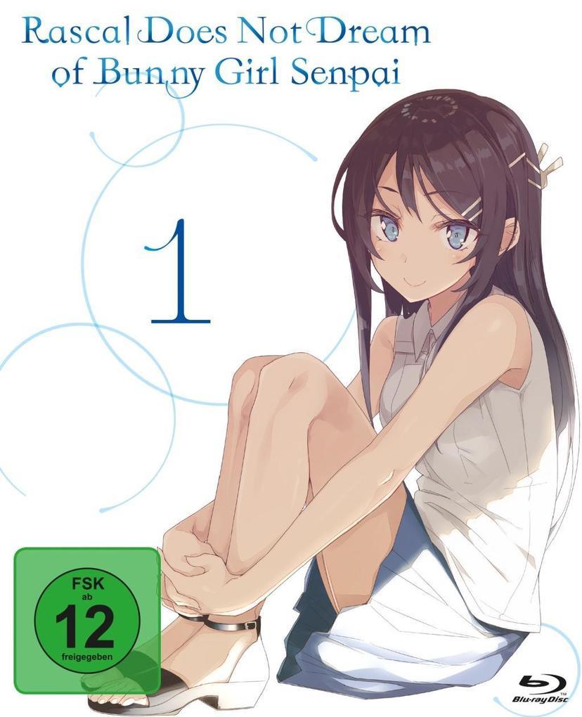 Rascal does not dream of Bunny Girl Senpai