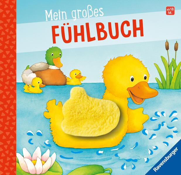 Mein großes Fühlbuch - Spielbuch ab 18 Monaten, Bilderbuch, Entdeckerbuch