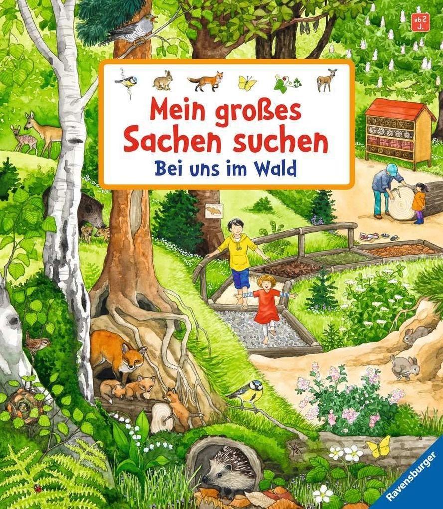 Mein großes Sachen suchen: Bei uns im Wald