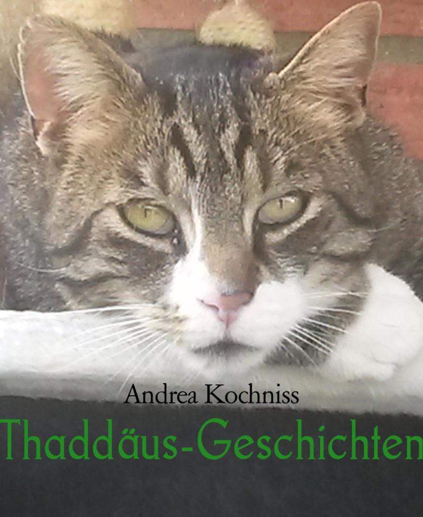 Thaddäus-Geschichten