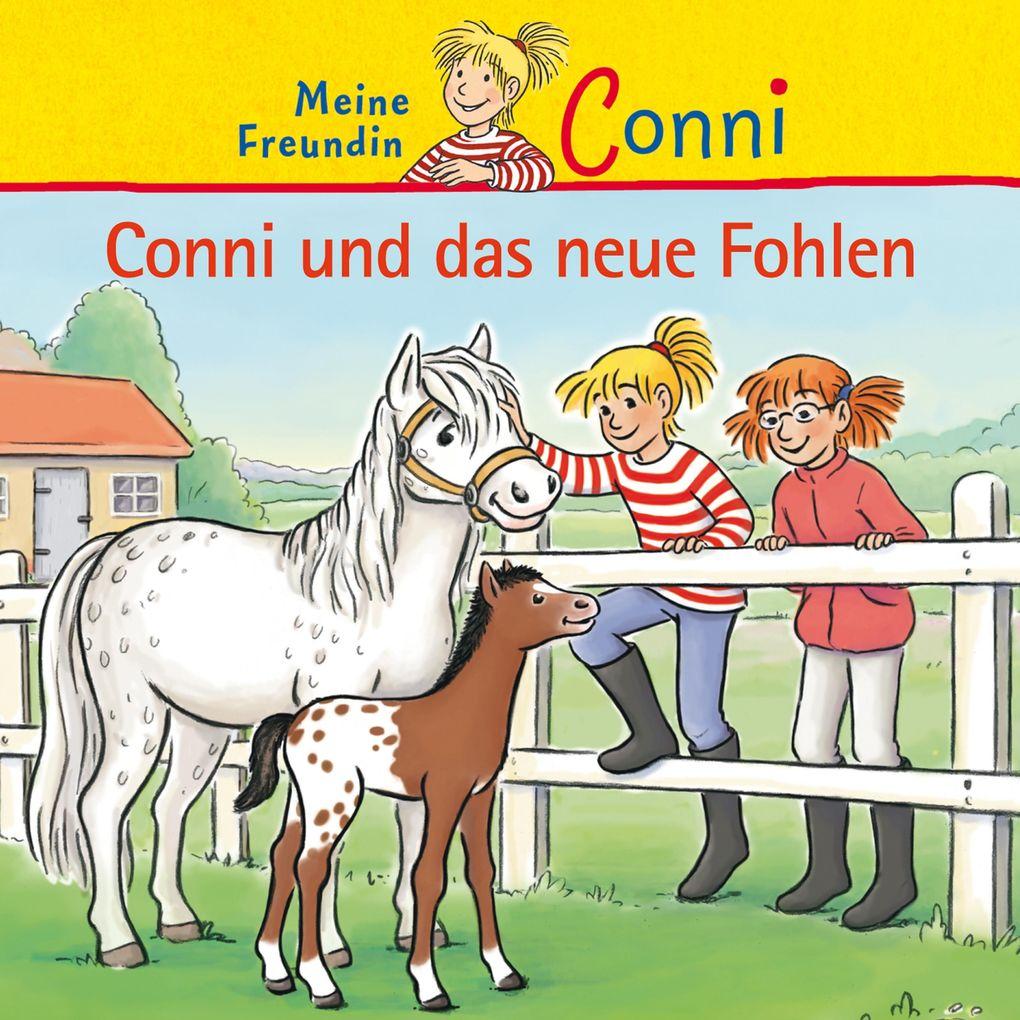 Conni und das neue Fohlen