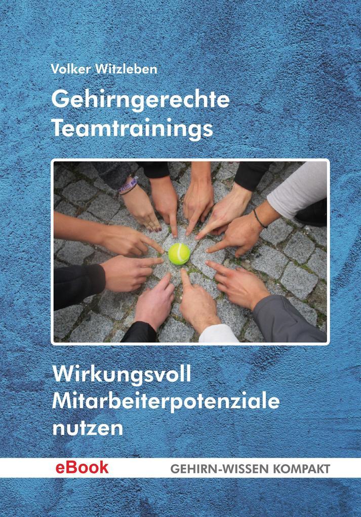 Gehirngerechte Teamtrainings