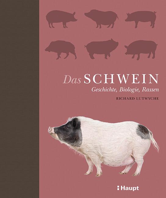 Das Schwein