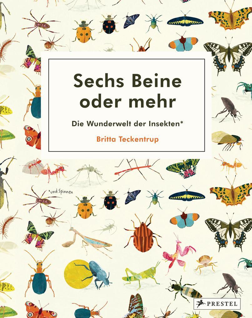 Sechs Beine oder mehr - Die Wunderwelt der Insekten