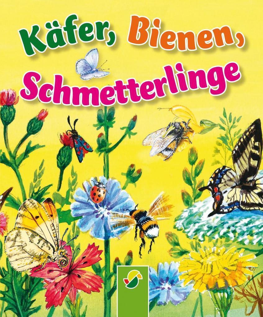 Käfer, Bienen, Schmetterlinge