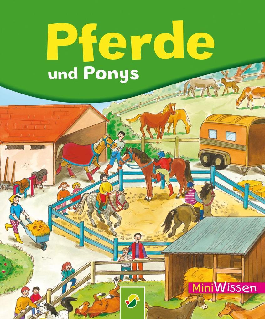 Pferde und Ponys