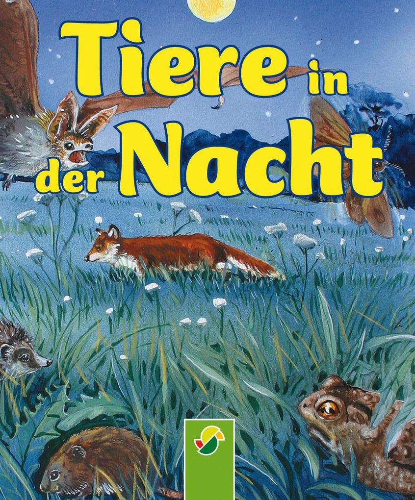 Tiere in der Nacht