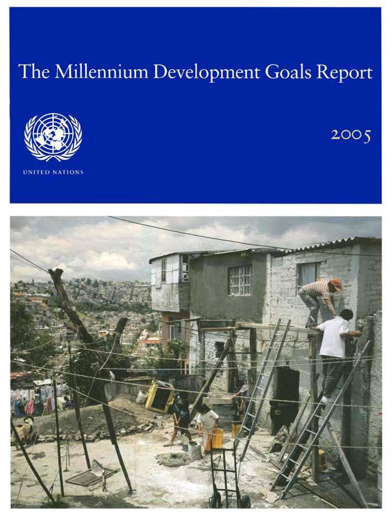 The Millennium Development Goals Report: 2005