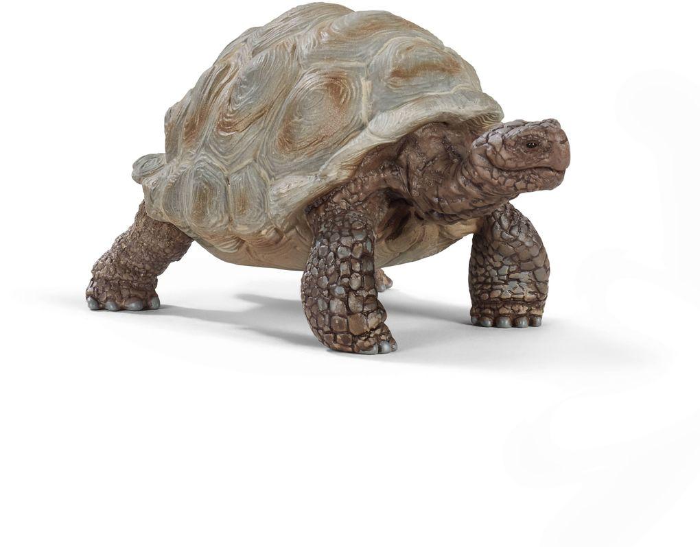 Schleich - Wild Life - Riesenschildkröte