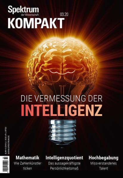 Die Vermessung der Intelligenz