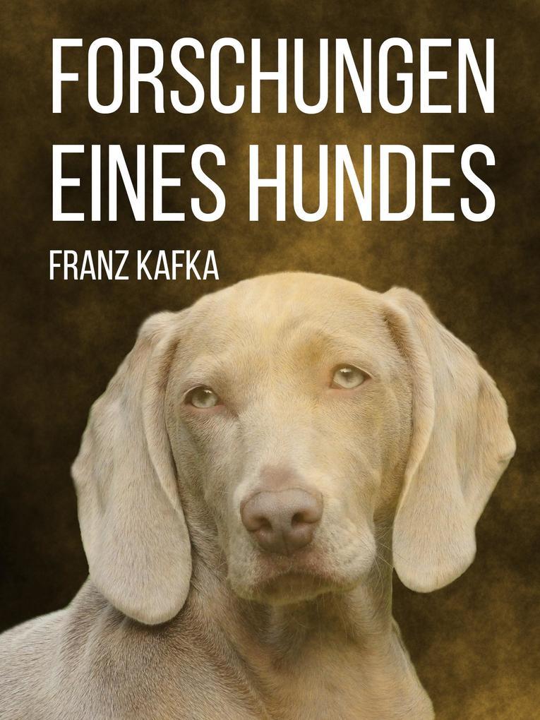 Forschungen eines Hundes