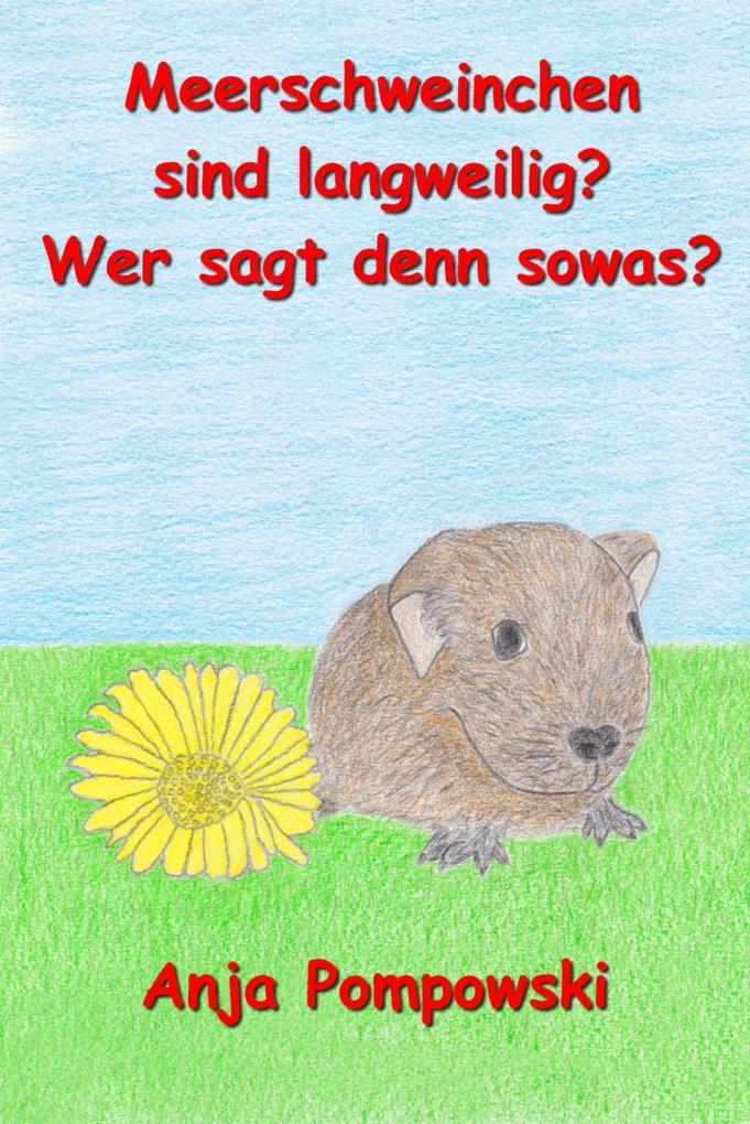 Meerschweinchen sind langweilig? Wer sagt denn sowas?